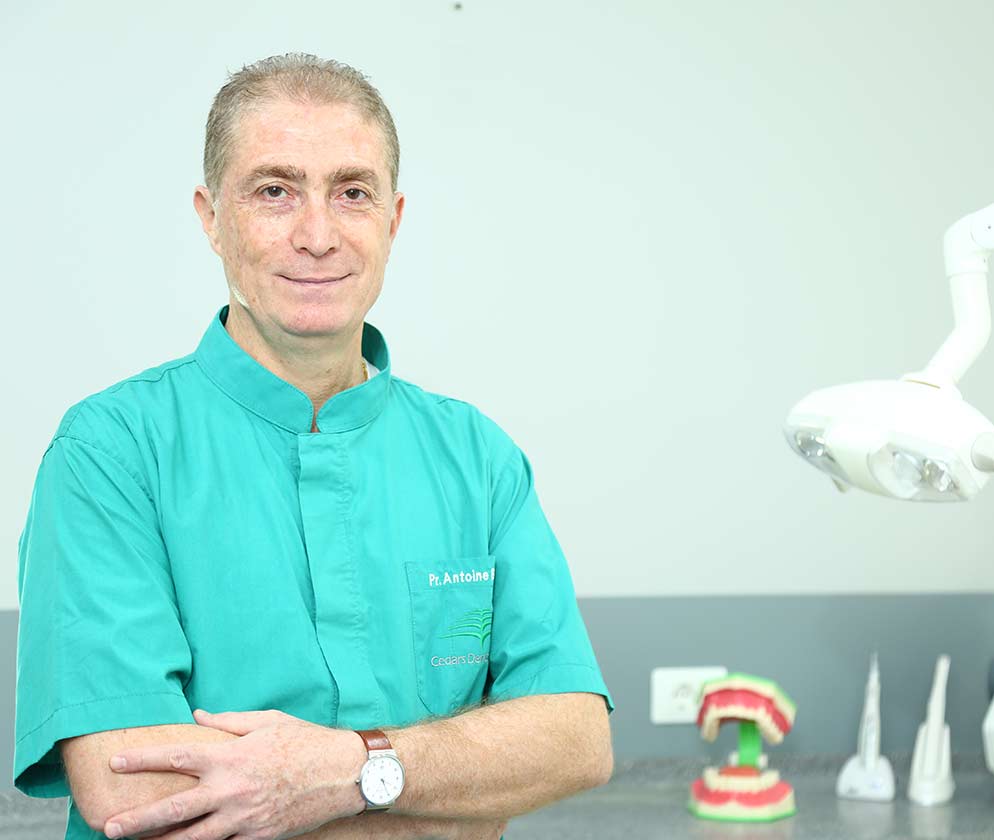 Prof. Antoine Berberi