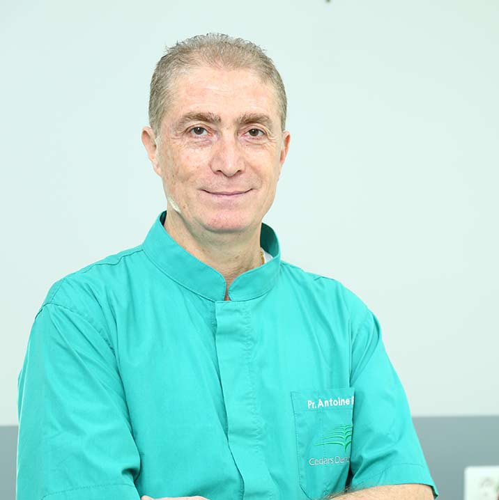 Prof. Antoine Berberi